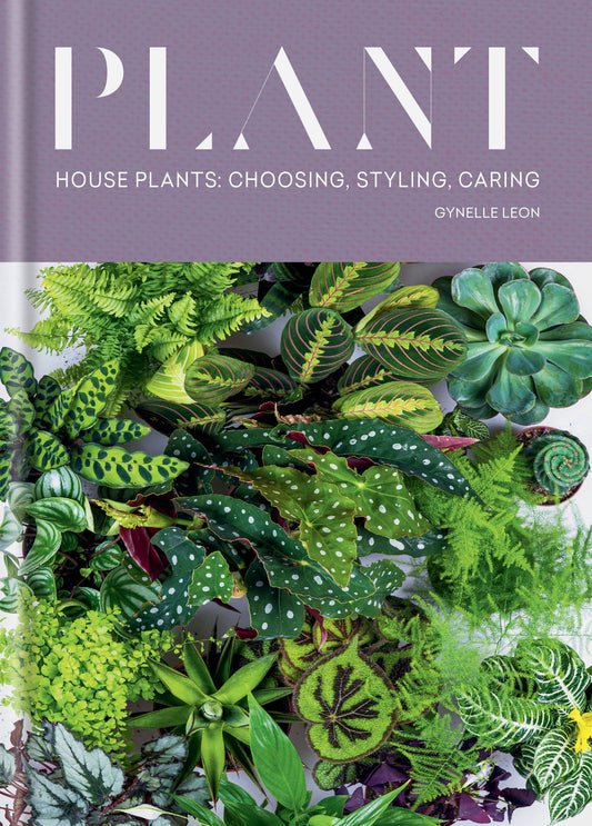 Close-up of the Plant cover showing calathea, begonia, ferns and succulents under the lavender title band