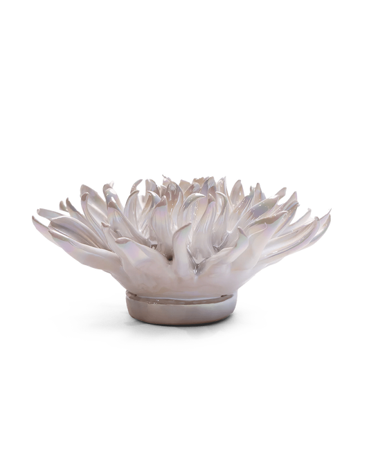 Side view of the pearlescent medium flower showing its spiky petals and round base