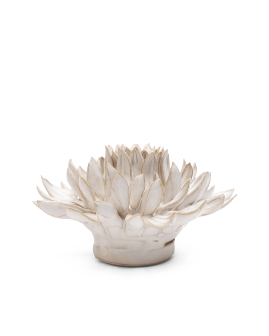 Side view of the Ivory Spider Mum showing tiers of pointed petals above a round base