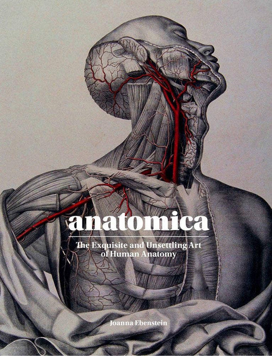 Full cover of Anatomica: The Exquisite and Unsettling Art of Human Anatomy, engraved figure with red arteries