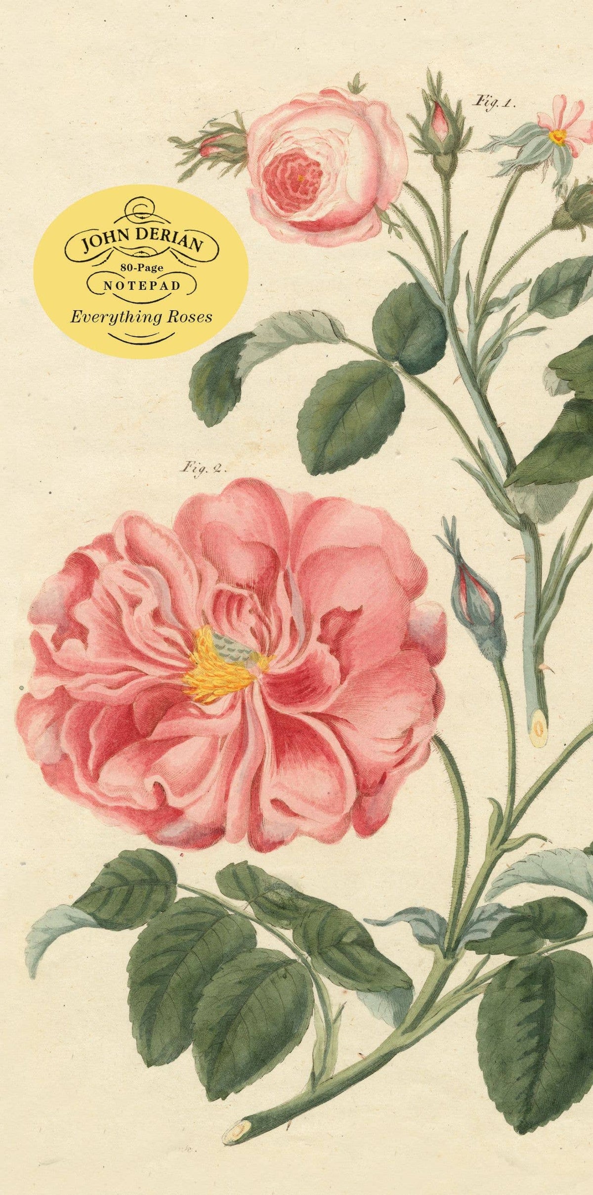 Close-up of the Everything Roses notepad cover, a large antique pink rose illustration with buds and leaves