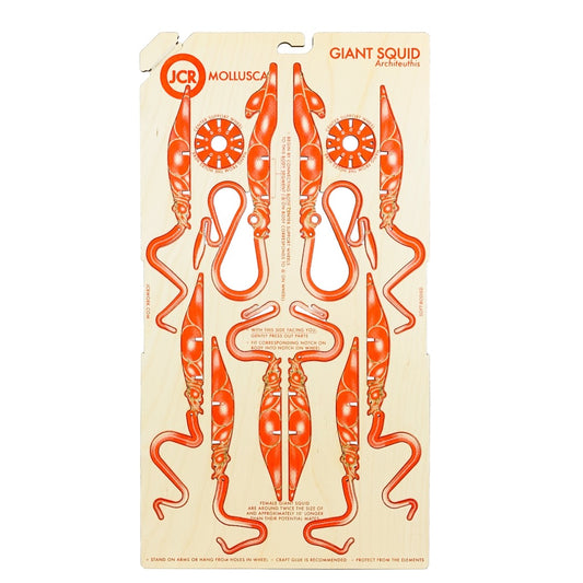 Unassembled Mollusca giant squid wood sheet with orange printed pieces and assembly instructions