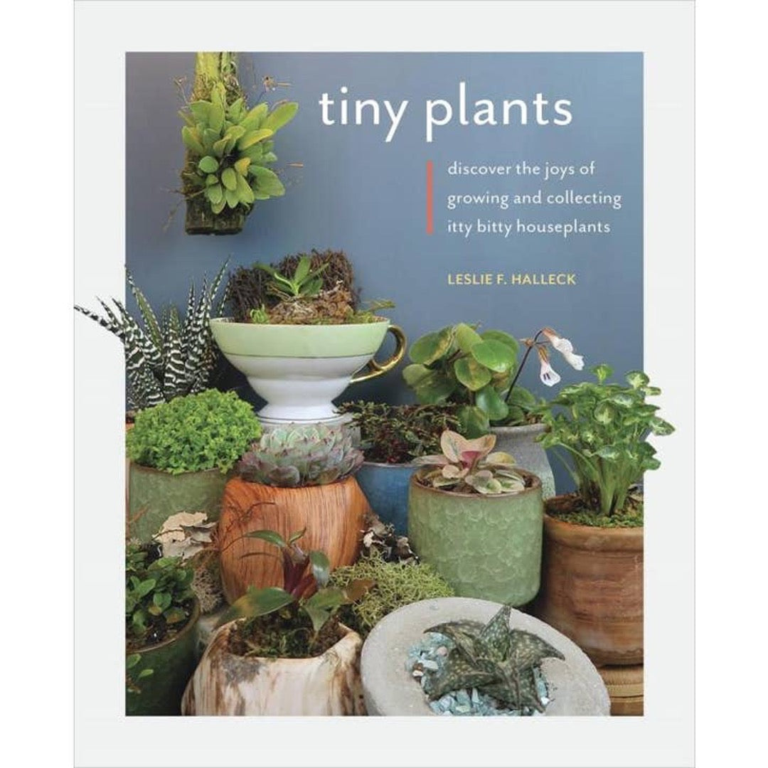Tiny Plants by Leslie F. Halleck, cover of small houseplants in teacups and pots against a blue wall