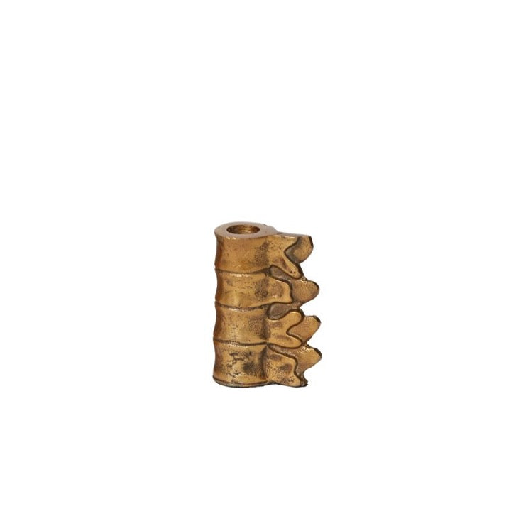 Metal lumbar candle holders in brass finish.