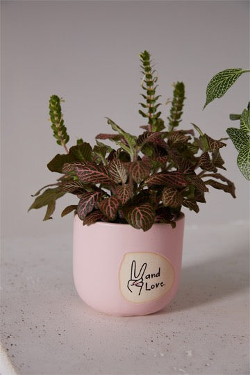 Pink pot with peace hand with text - and love. Flowers inside pot.