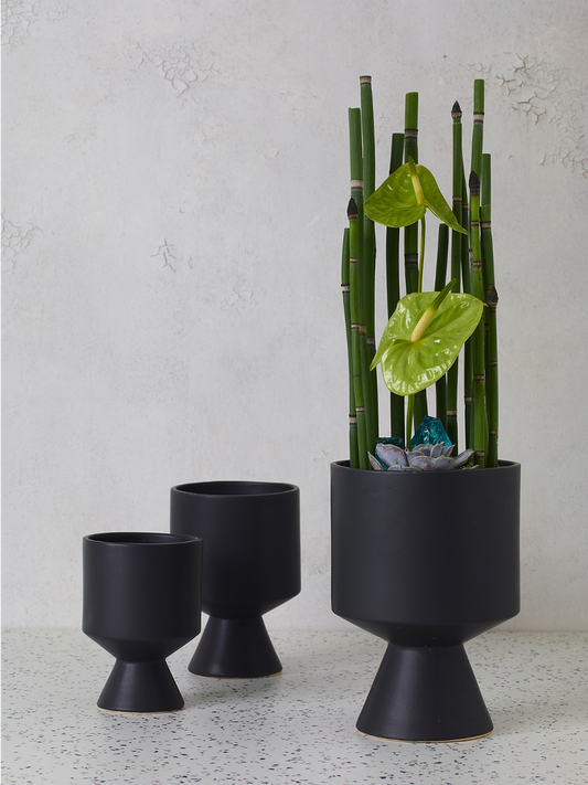Three De Vil pots in small, medium and large, the largest holding horsetail reeds and anthurium
