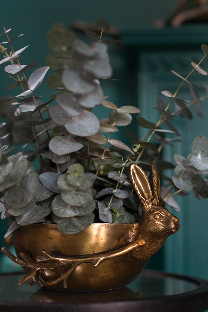 Eric & Eloise brass bowl filled with eucalyptus stems, close on the rabbit handle against a teal wall