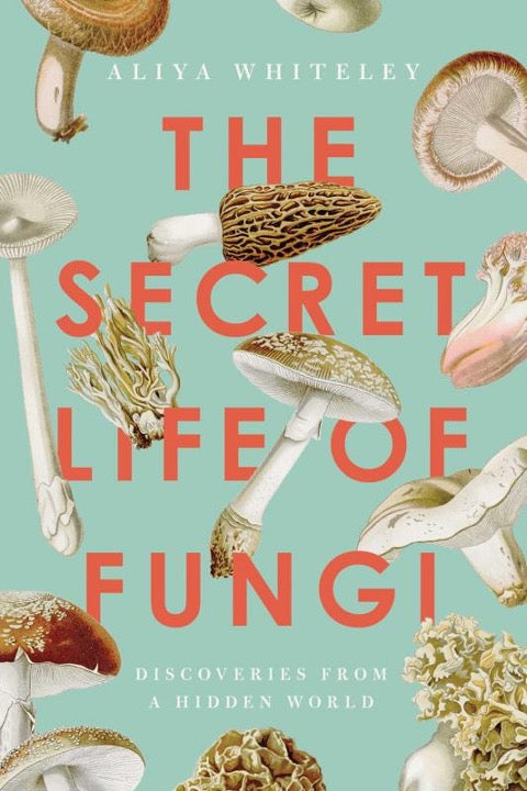 Full-bleed view of The Secret Life of Fungi cover showing morels and toadstools around the title