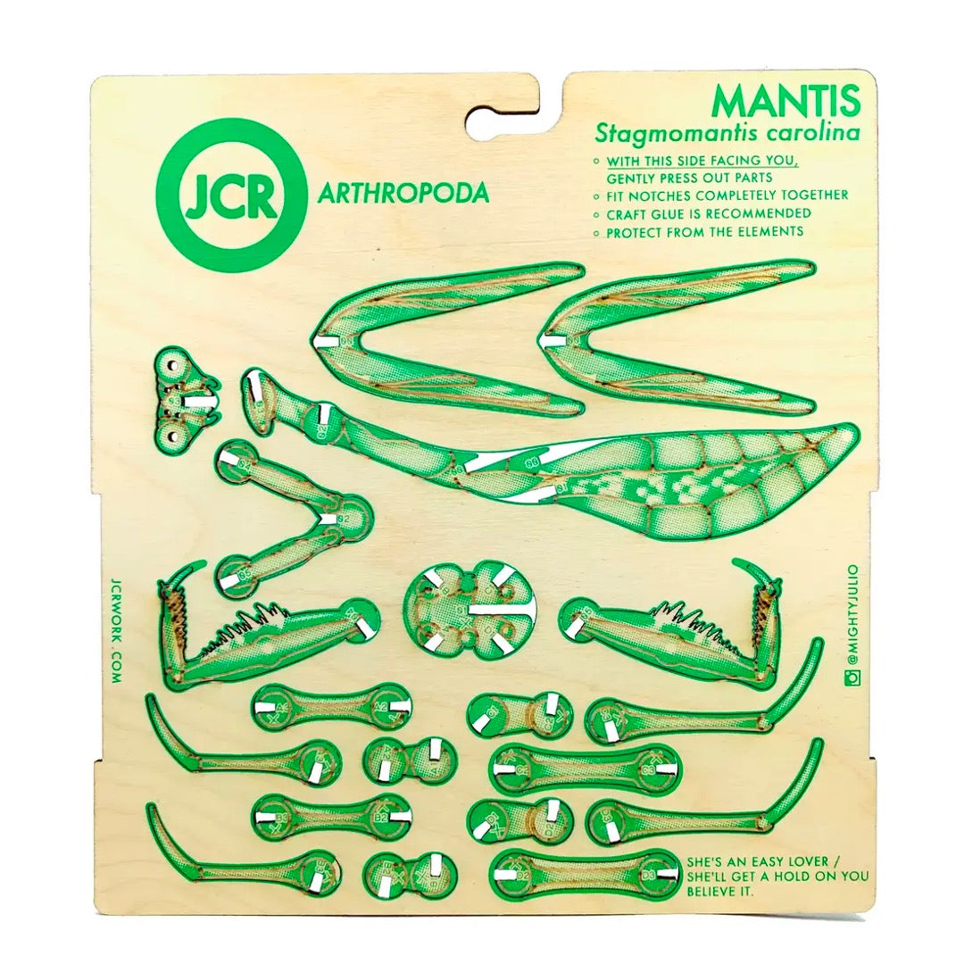 Mantis model kit board with green screen-printed plywood pieces ready to press out