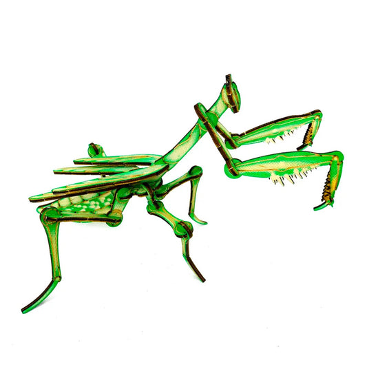 Assembled mantis model from the side, showing raised front legs and long folded wings