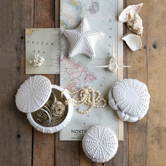 Urchin ceramic boxes styled on a wood table with a map, shells, and one open box of jewelry