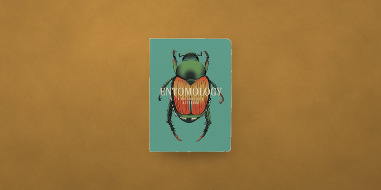 Entomology naturalist notebook with beetle cover on a gold backdrop - Onederkam stationery