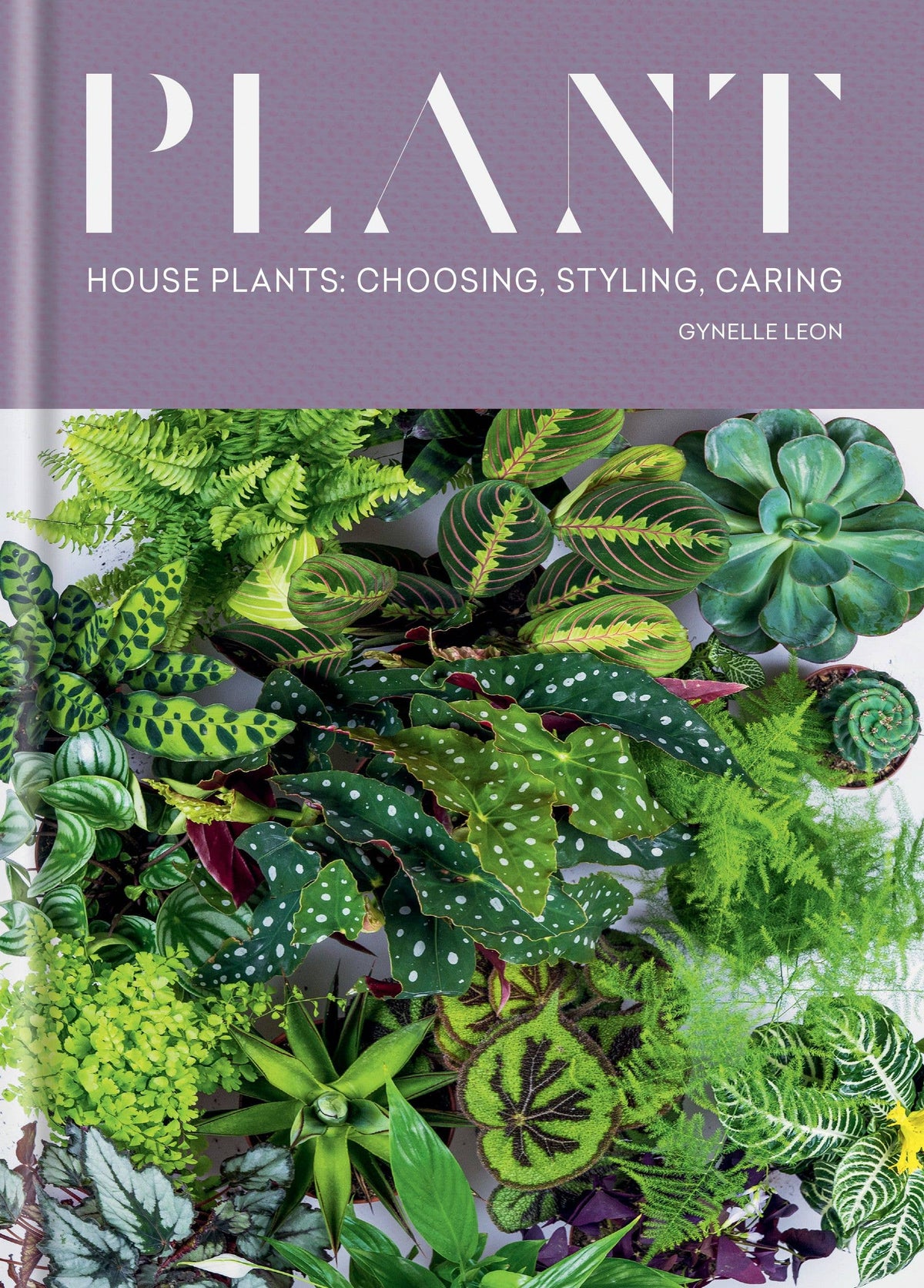 Close-up of the Plant cover showing calathea, begonia, ferns and succulents under the lavender title band
