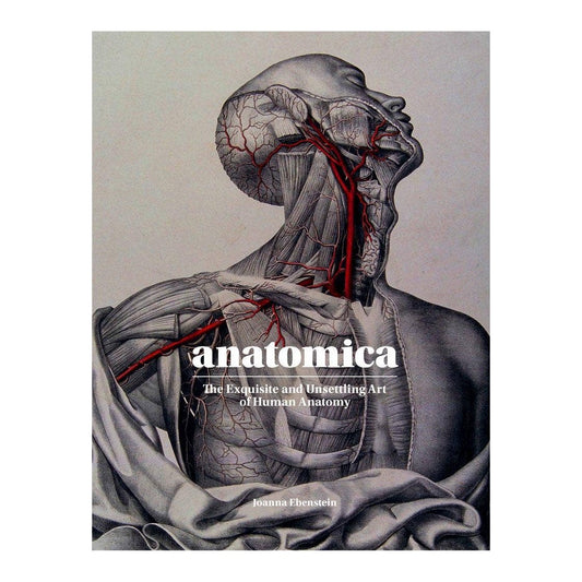 Anatomica book cover with a vintage anatomical drawing of a man's neck and shoulder with red arteries