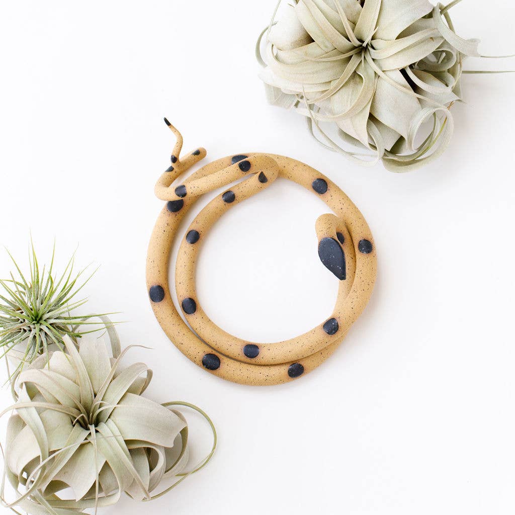 Coiled speckled tan ceramic snake with black spots and a black head, shown from above with air plants