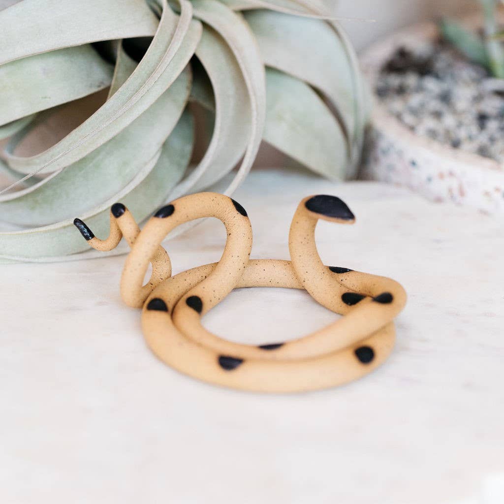 Speckled tan ceramic snake with black spots and black head, coiled empty on marble with an air plant behind