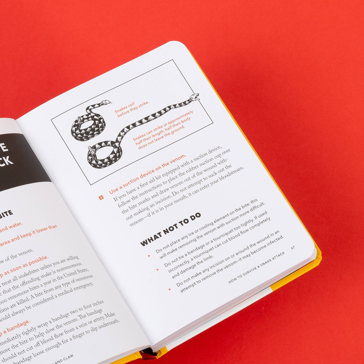 Handbook open to a snake bite page with a drawing of a coiled snake and a What not to do list