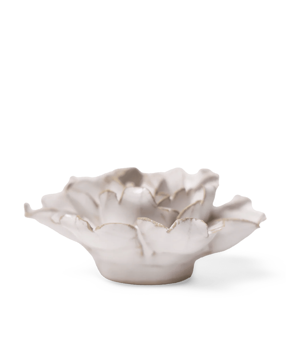 Side view of the Ivory Rose showing its wavy, open petals on a round base