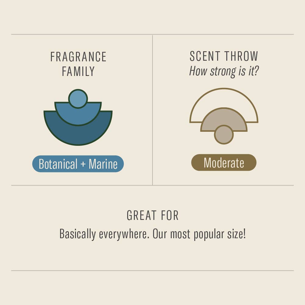 Scent guide card: botanical and marine fragrance family, moderate scent throw, great for basically everywhere