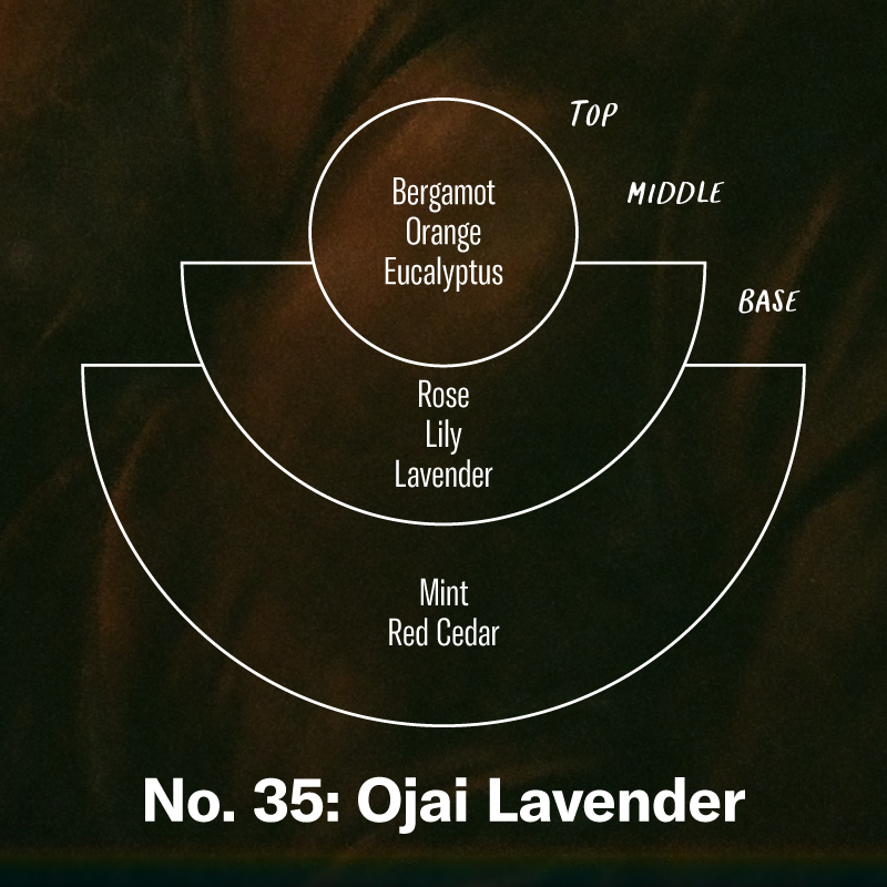 Ojai Lavender scent chart: top bergamot, orange, eucalyptus; middle rose, lily, lavender; base mint, red cedar