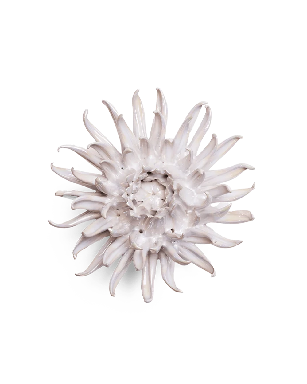 Pearlescent medium ceramic flower with long, narrow white petals radiating from a dense center