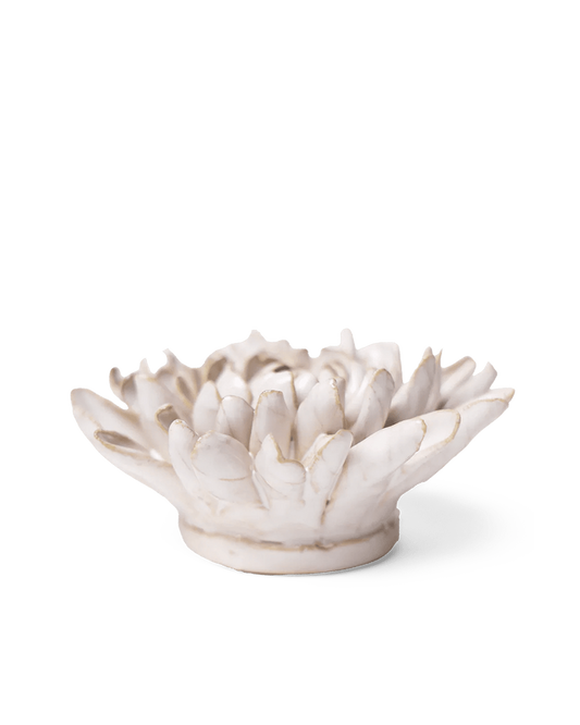 Side view of the Ivory Chrysanthemum showing its rounded, densely layered petals