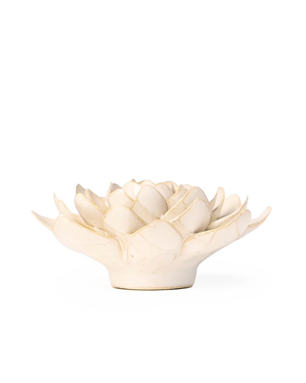 Side view of the Ivory Snowdrop showing its upturned petals and small base