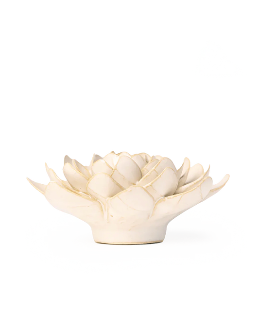 Side view of the Ivory Snowdrop showing its upturned petals and small base