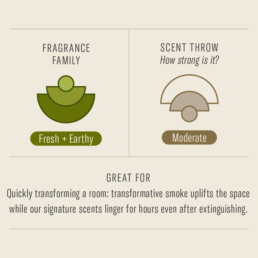 Scent chart for Amber & Moss incense: fresh and earthy fragrance family with a moderate scent throw