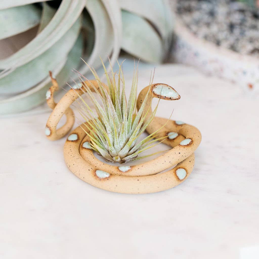 Speckled tan ceramic snake with mint green spots holding an air plant in its coil