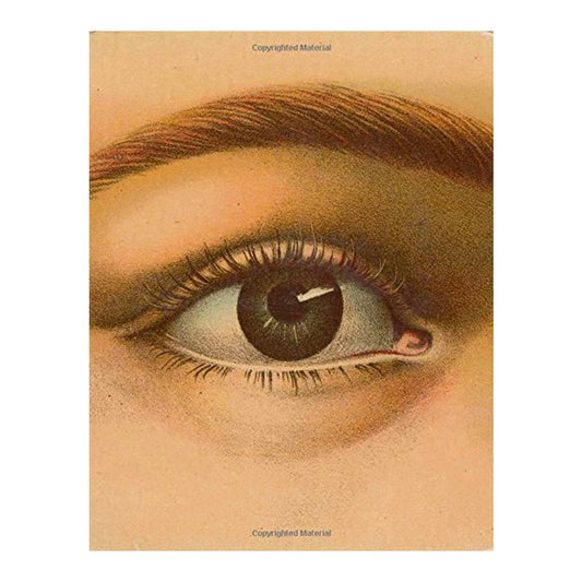 John Derian Picture Book front cover, a vintage illustration of a brown eye and brow in close-up