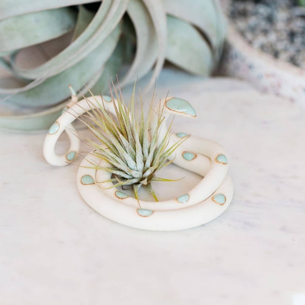 White mint-spotted ceramic snake holding a small air plant in its coil, larger air plant behind