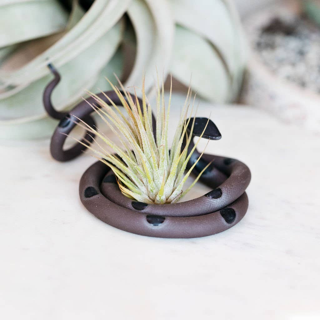 Dark brown black-spotted ceramic snake coiled around a spiky air plant on a marble surface