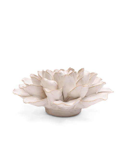 Side view of the Ivory European Water Lily showing its low profile and round base