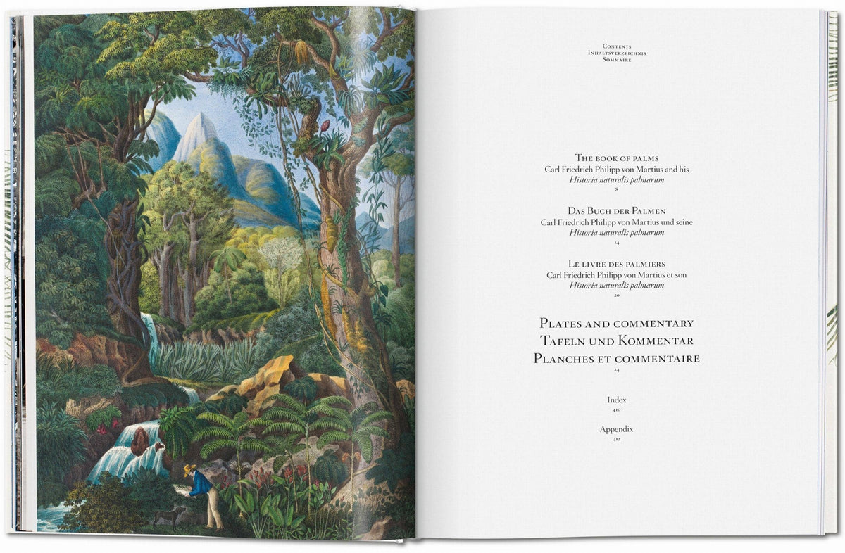 The Book of Palms open to a lush rainforest painting beside a table of contents page
