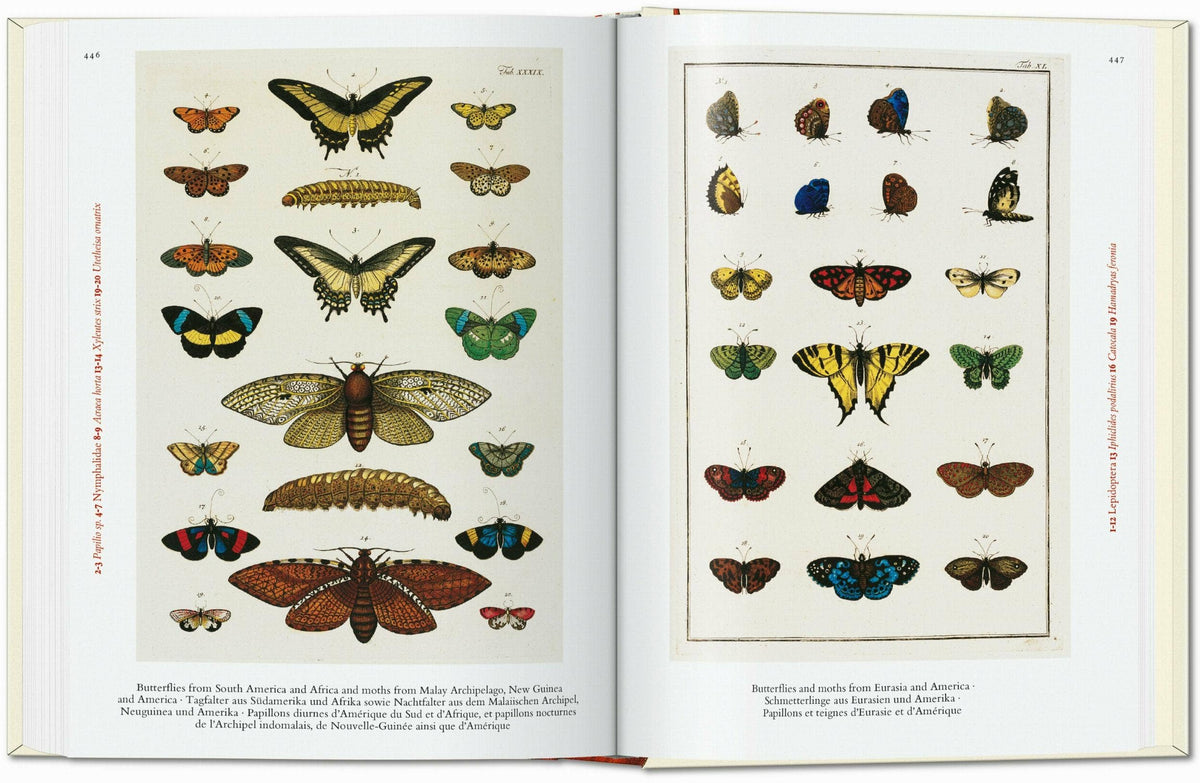 Open spread of plates showing rows of colorful butterflies, moths and caterpillars