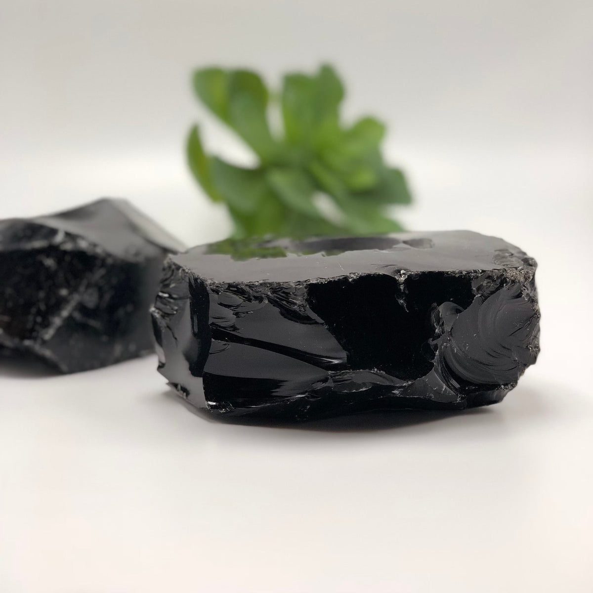 Black obsidian crystal votive holder with rough cut sides and glassy finish, plant blurred behind