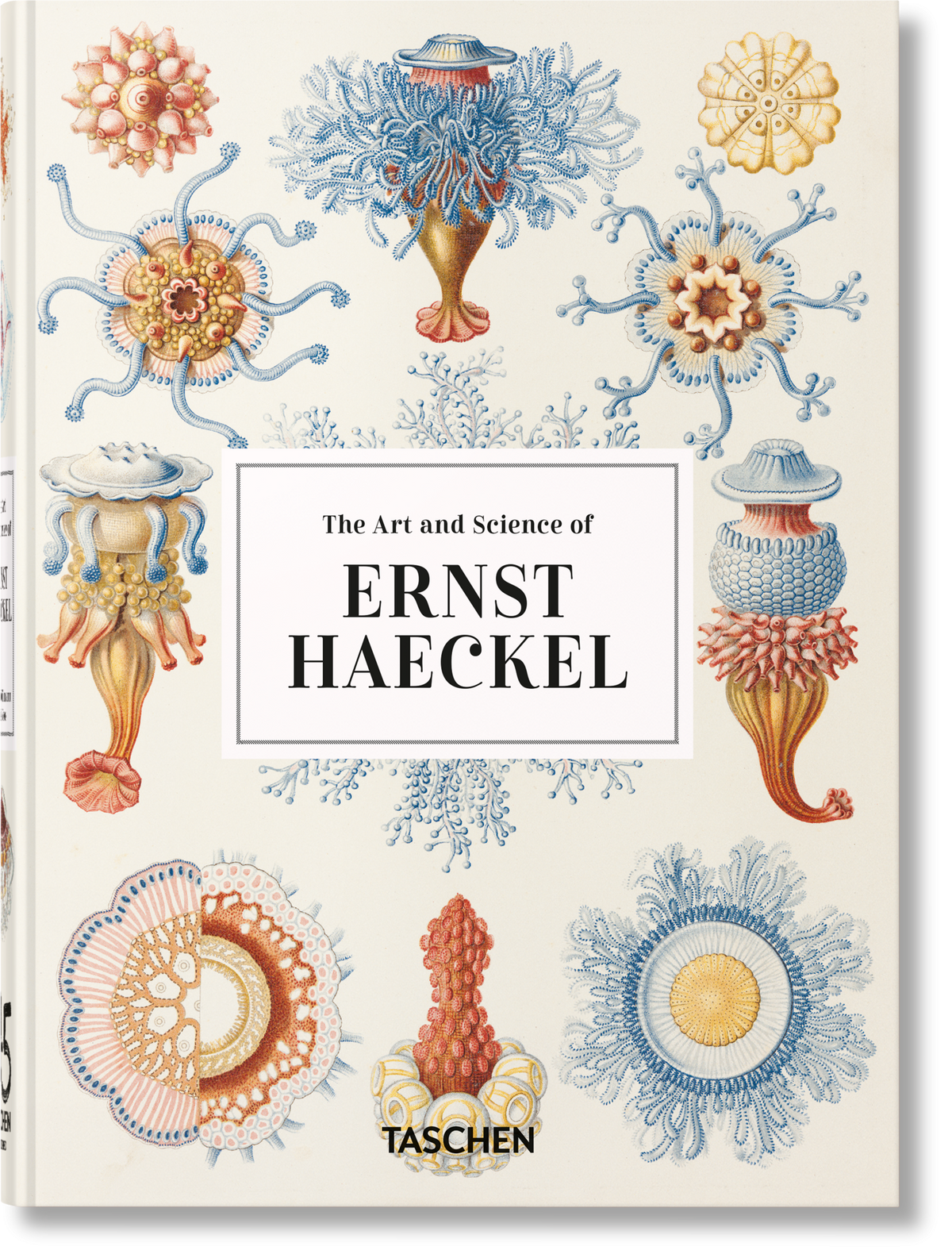 Close-up of the Ernst Haeckel Taschen cover with blue, orange, and cream marine organism prints