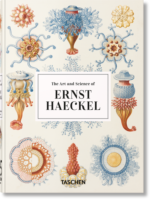 Close-up of the Ernst Haeckel Taschen cover with blue, orange, and cream marine organism prints