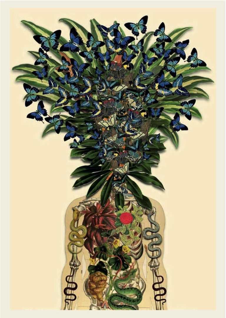 Postcard artwork of an anatomical torso with snakes and organs, topped by foliage covered in blue butterflies