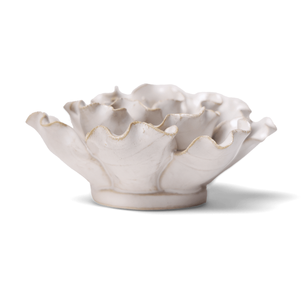 Side view of the Ivory Sea Lettuce, a bowl of wavy petals on a round base