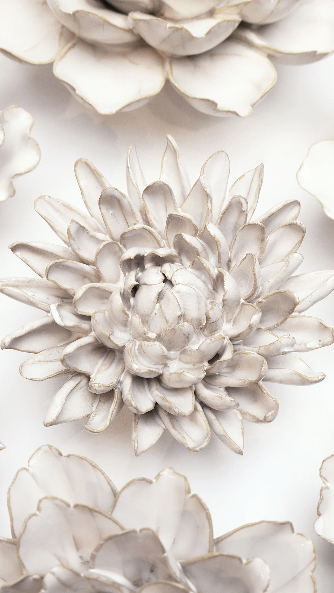 Ivory Chrysanthemum among other ivory ceramic flowers on a white wall