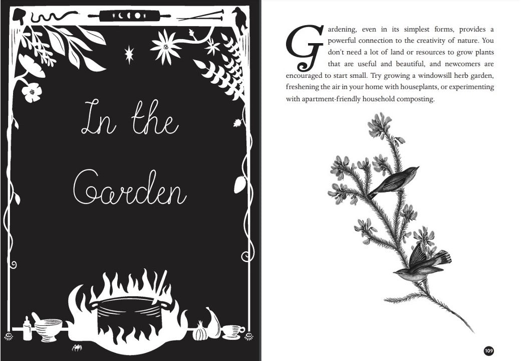 Kitchen Witch interior spread with the In the Garden chapter page and a bird illustration