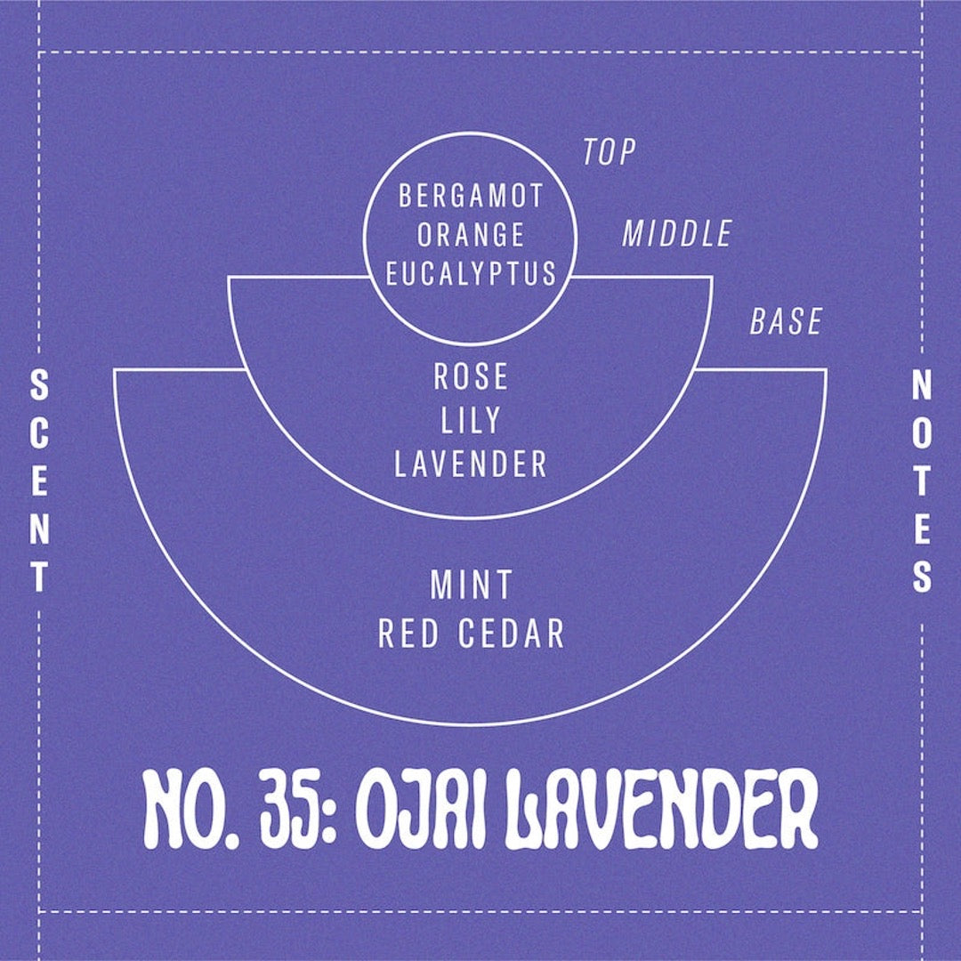 Illustration of scent notes. 