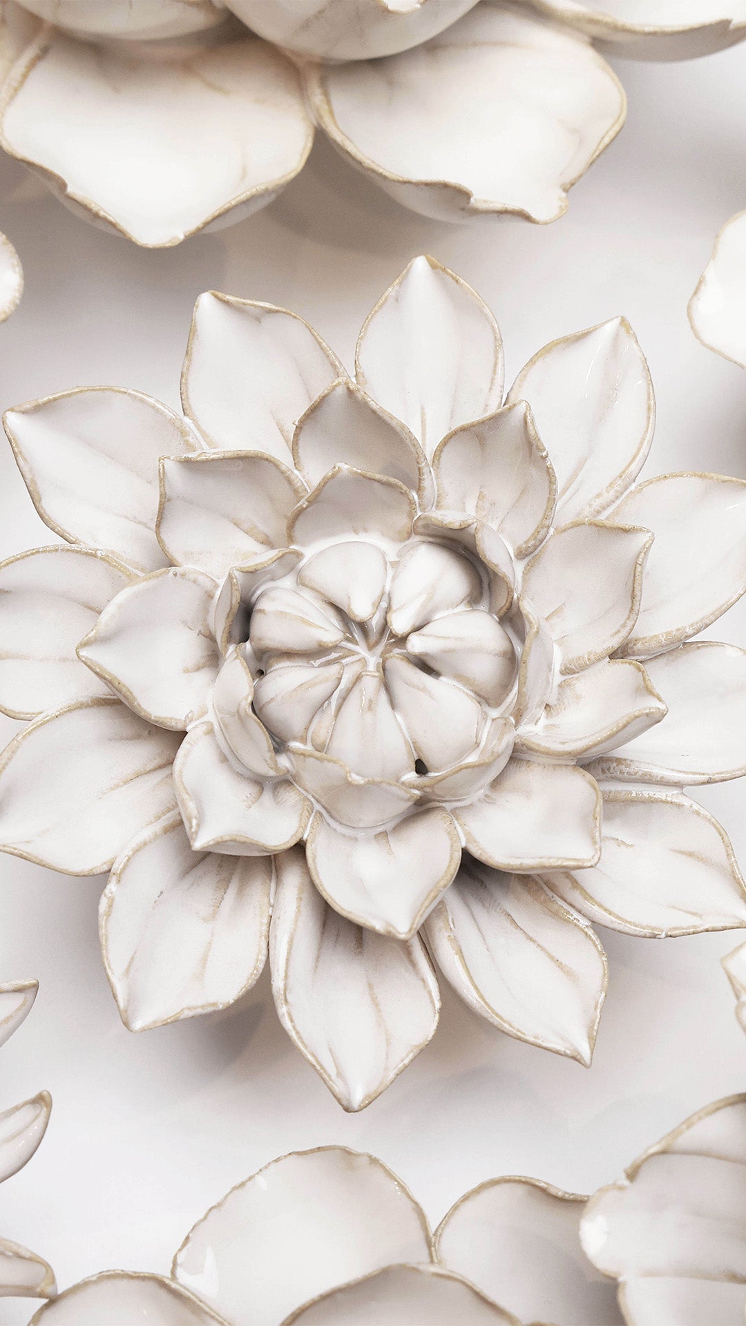Ivory Monch Aster among other ivory ceramic flowers on a white wall