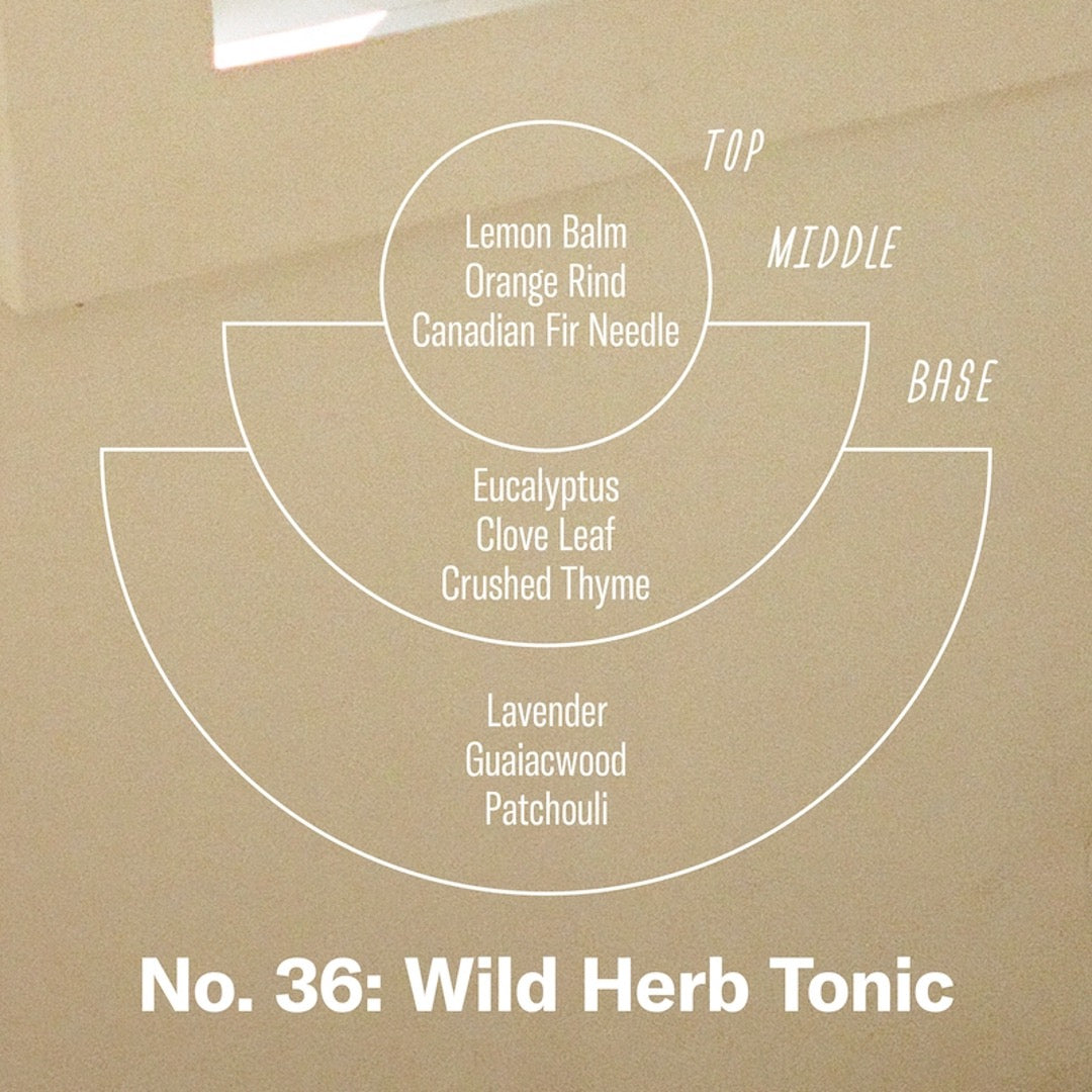 Illustration of scent notes.