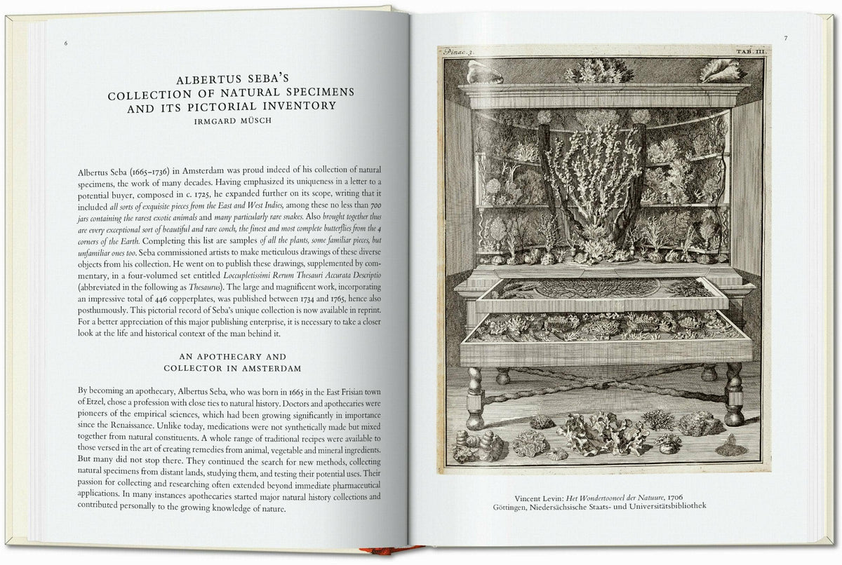 Open spread with an essay on Seba's collection beside an engraving of a cabinet filled with specimens