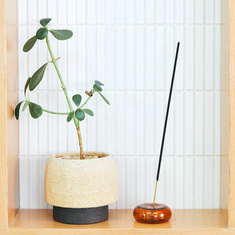 Single Teakwood & Tobacco incense stick in an amber glass holder on a shelf beside a potted plant