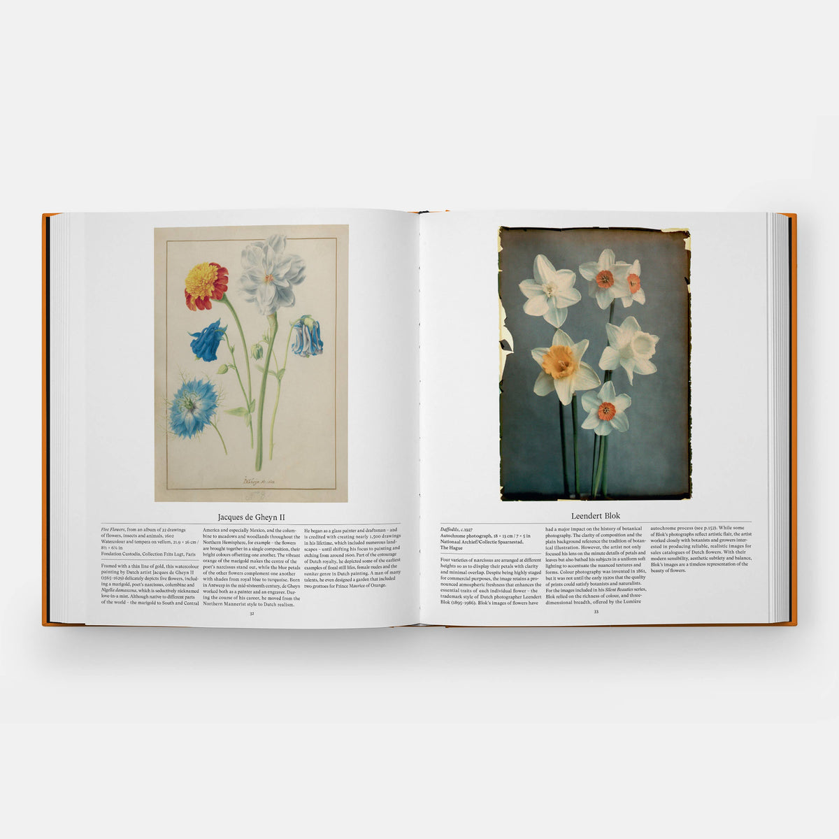 Open Flower book spread with a Jacques de Gheyn II botanical study beside a Leendert Blok daffodil photo