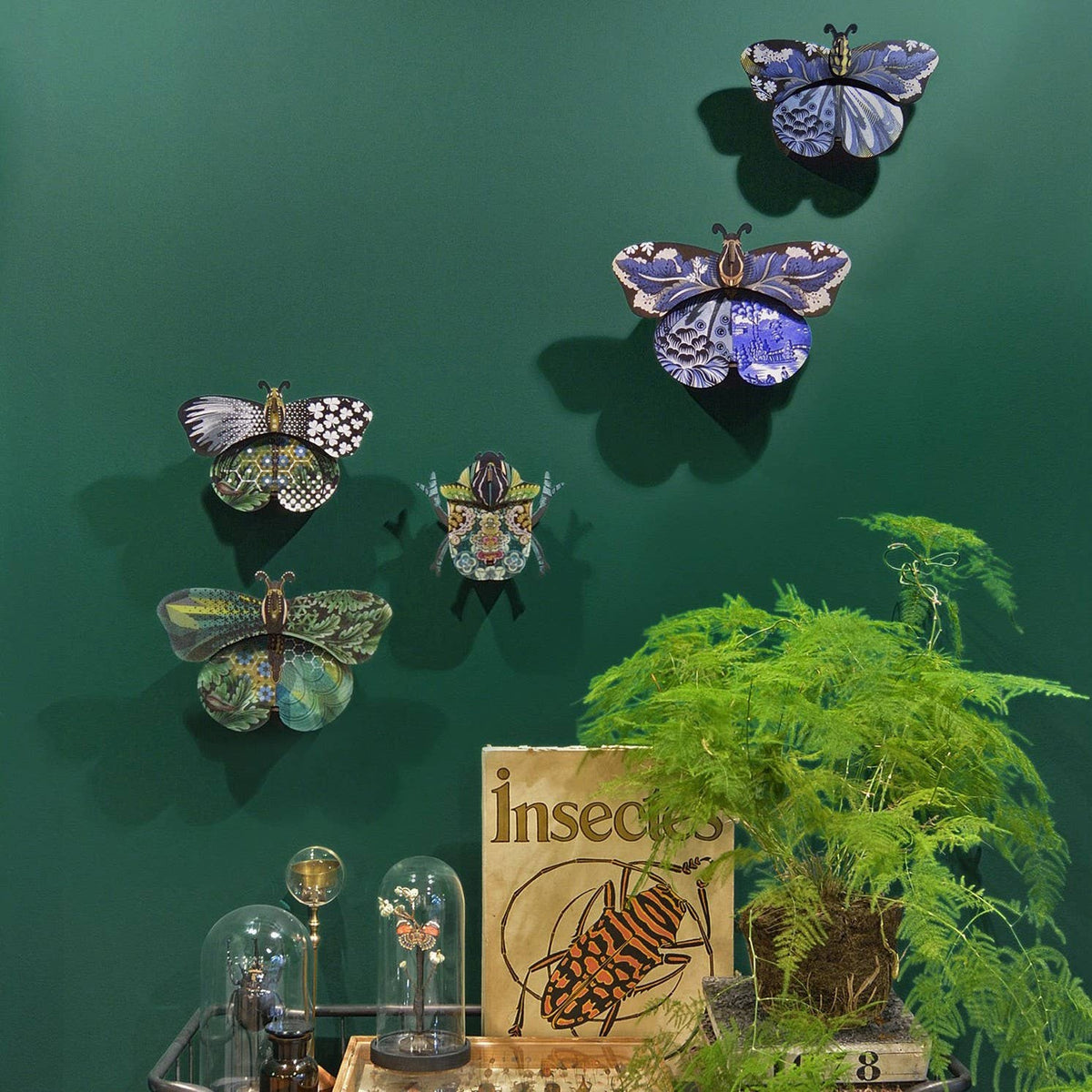 Bill beetle hung on a green wall with patterned butterflies above an Insectes book and fern